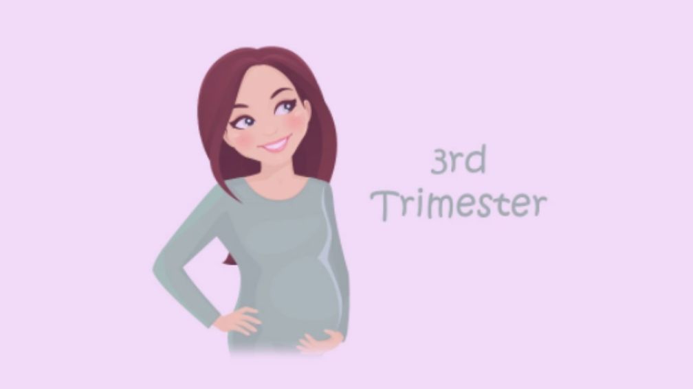 গর্ভবর্তী-মায়ের-খাদ্য-তালিকা-third-trimester-of-pragnant