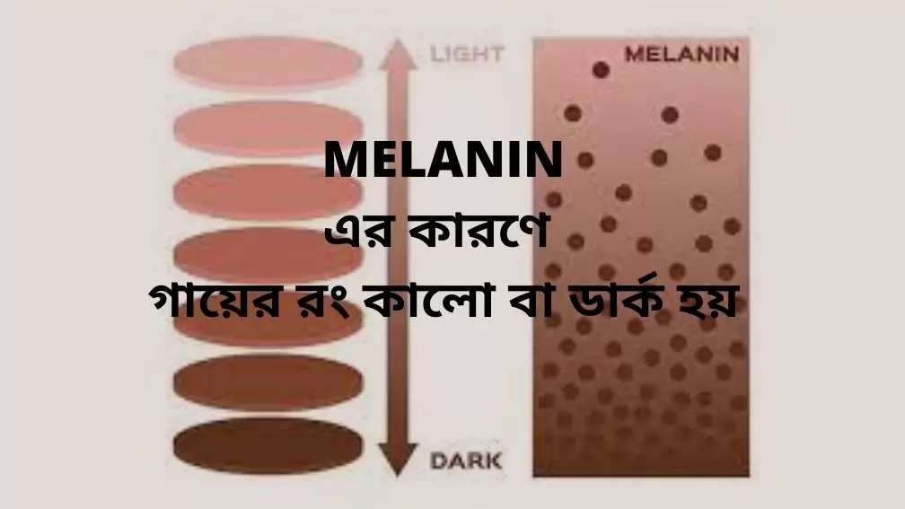 Bangla beauty tips for fairness