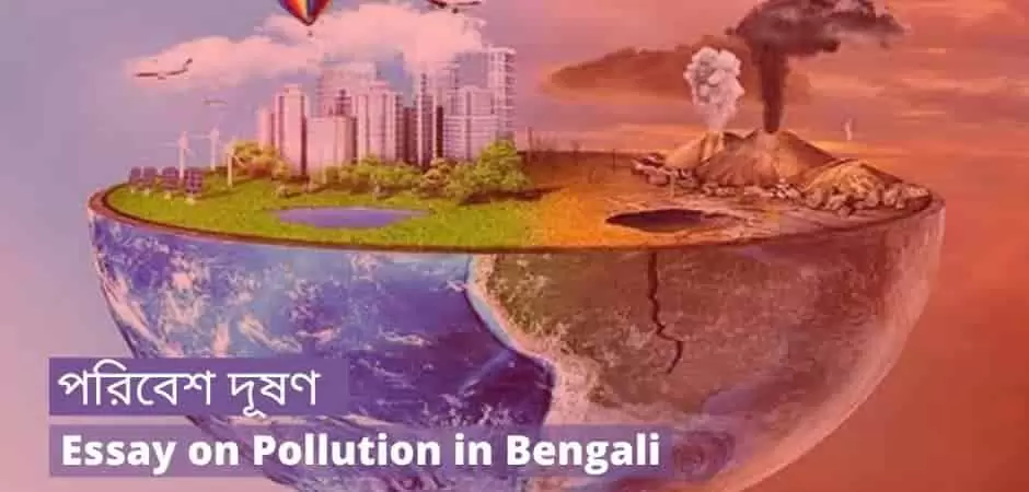 Essay on Pollution in Bengali