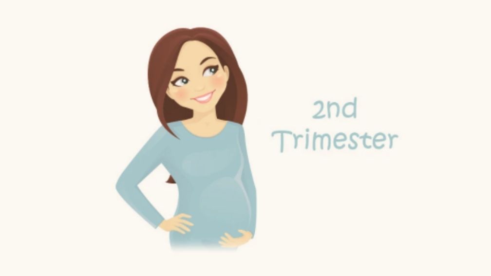 গর্ভবর্তী মায়ের খাদ্য তালিকা-second trimester of pregnancy