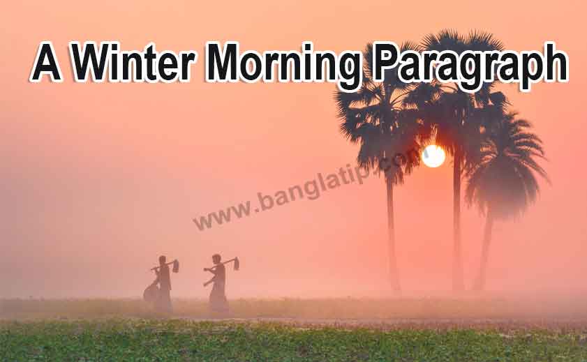 A Winter Morning Paragraph For Class 6 to 9 (SSC, HSC)