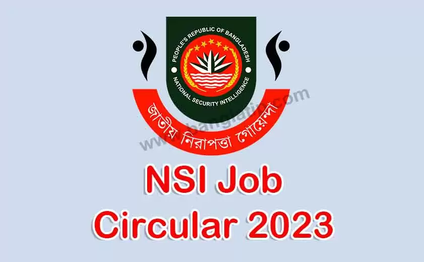 NSI Job Circular 2023 Apply With Teletalk